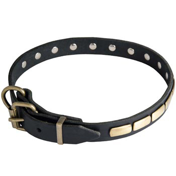 Black Russian Terrier Leather Dog Collar with Brass Buckle 