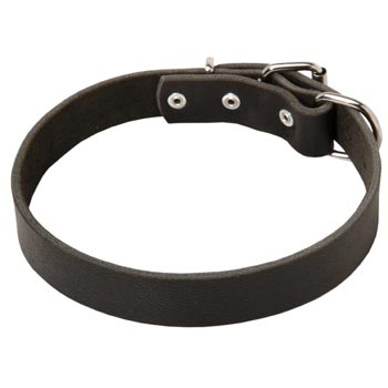 Leather Dog Collar Simple  Design for Black Russian Terrier