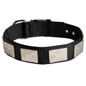   Black Russian Terrier Collar Nickel Vintage with Plates