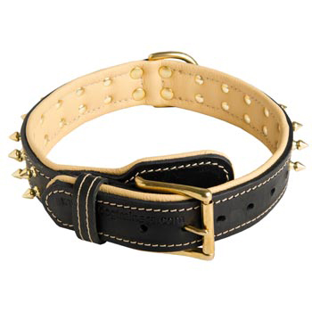Leather Dog Collar Spiked Adjustable for Black Russian Terrier Walking