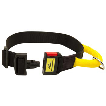 Nylon Black Russian Terrier Collar with Quick Release Buckle