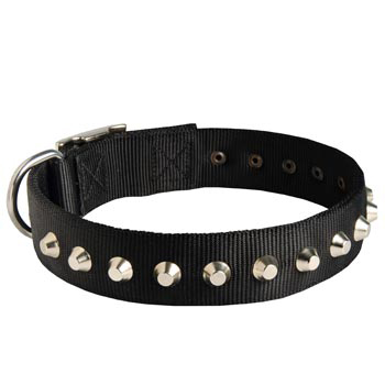 Walking Nylon   Black Russian Terrier Collar Nickel Studded Waterproof