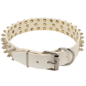 Spiked Leather Black Russian Terrier Collar