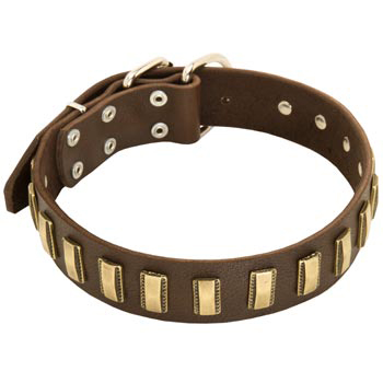 Leather Dog Collar with Adornment for Black Russian Terrier