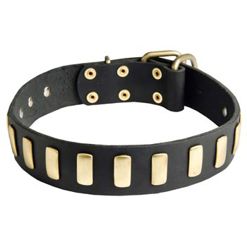 Black Russian Terrier Collar Leather with Brass Hardware