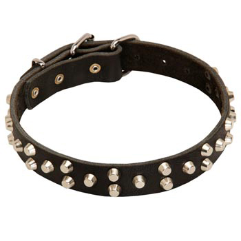 Wide Leather Dog Collar for Black Russian Terrier Walking