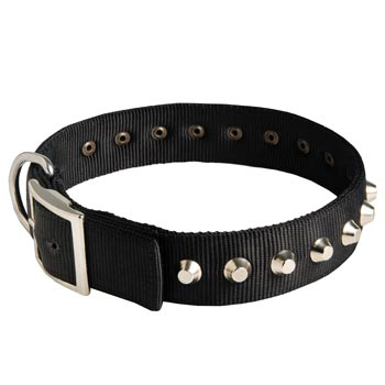 Nylon Buckle Dog Collar Wide with Studs for   Black Russian Terrier