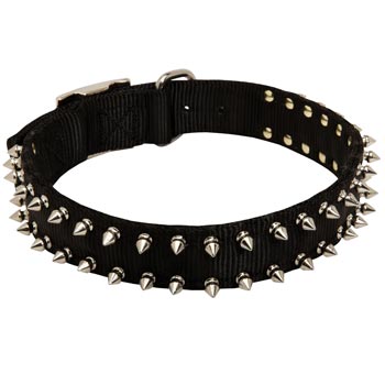 Black Russian Terrier Dog Nylon Collar Steel Nickel Plated Spikes