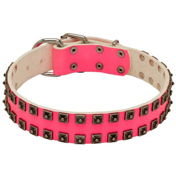 Studded Pink Leather Collar for Black Russian Terrier She-Dogs