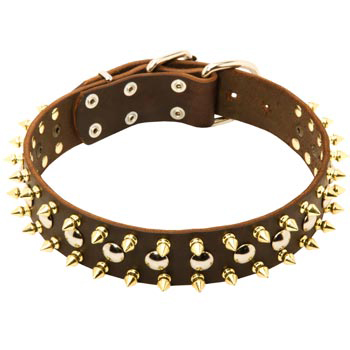 Leather Collar for Black Russian Terrier with Solid Fittings