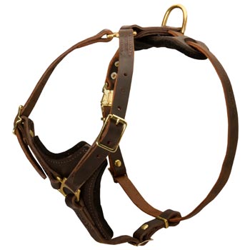 Black Russian Terrier Harness Y-Shaped Brown Leather Easy Adjustable for Best Fit