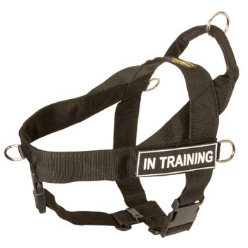 Black Russian Terrier Nylon Harness with ID Patches