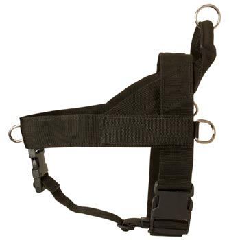 Black Russian Terrier Harness Nylon for Comfy Walking