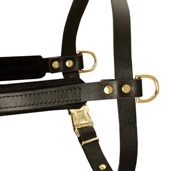 Training Pulling Black Russian Terrier Harness with Sewn-In Side D-Rings