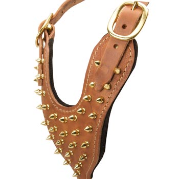 Brass Spiked Leather Black Russian Terrier Harness