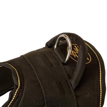 Heavy Duty Handle of Black Russian Terrier Harness