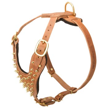 Walking Leather Harness for Black Russian Terrier