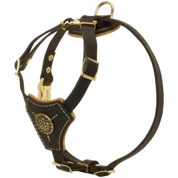Walking Training Leather Puppy Harness for Black Russian Terrier