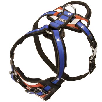 Leather SBlack Russian Terrier Harness with Handle Stitched to Back Plate