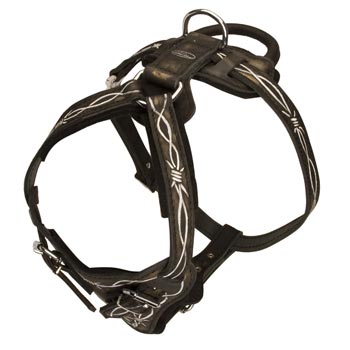Agitation Training Leather Black Russian Terrier Harness