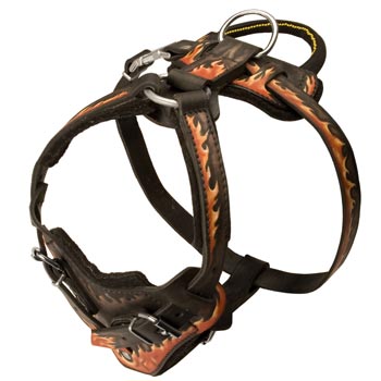 Leather Dog Harness with Handle for Black Russian Terrier Training