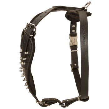 Adjustable Leather Harness for Black Russian Terrier