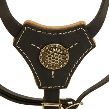 Leather Black Russian Terrier Harness Fashion for Puppy