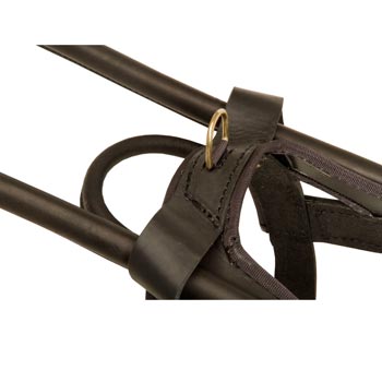 Black Russian Terrier Leather Guide Harness with ring for lead conncetion
