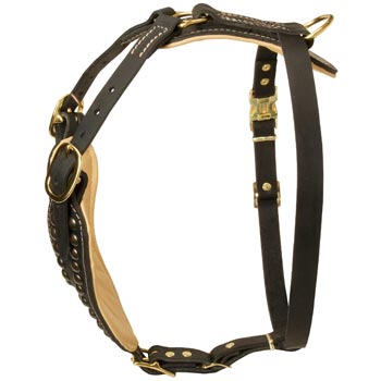 Custom Made Dog Harness for Black Russian Terrier