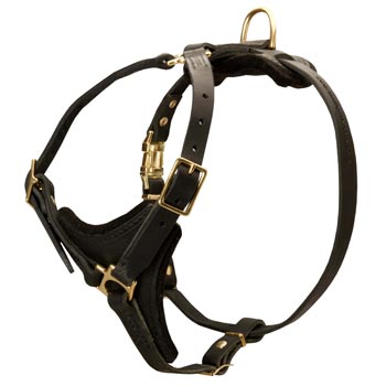 Black Russian Terrier Harness Black Leather with Padded Chest Plate for Training