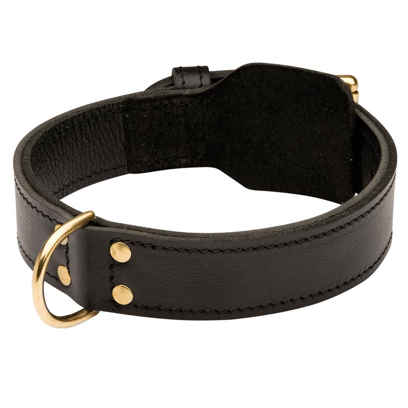 Training 2 Ply Leather Black Russian Terrier Collar