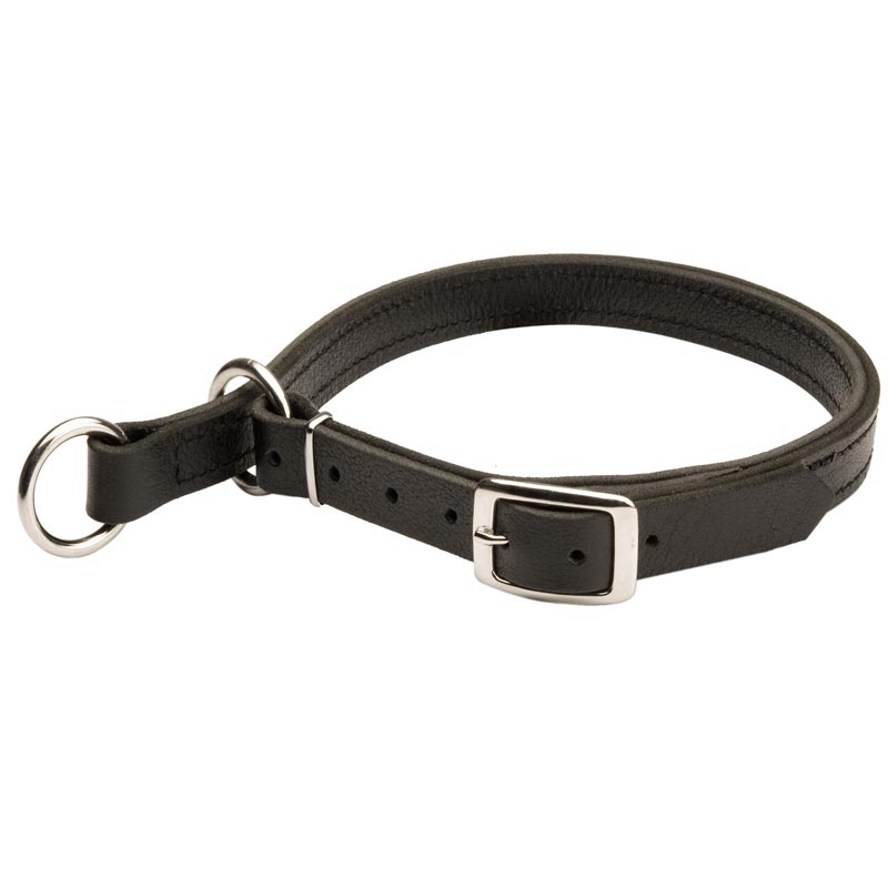 Black Russian Terrier Leather Choke Collar