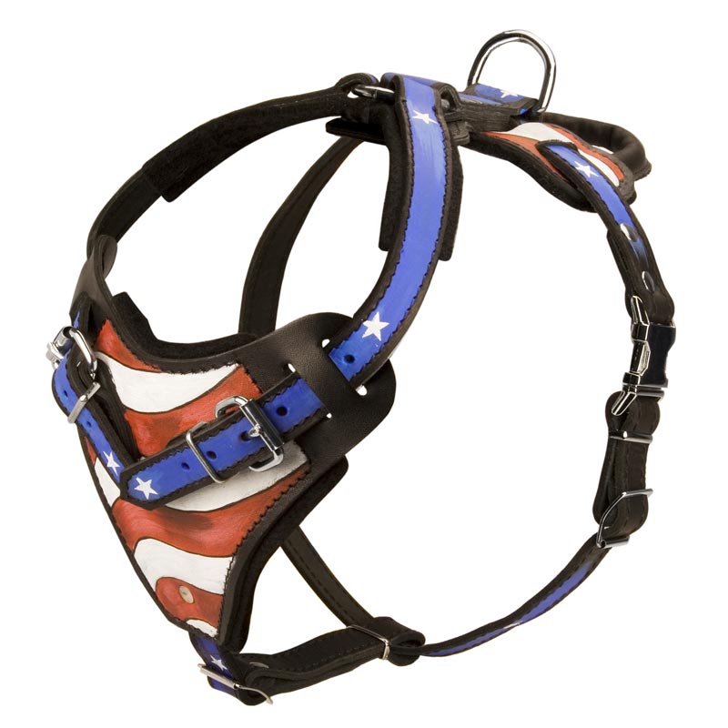 American Flag Painted Leather Black Russian Terrier Harness for Agitation Training