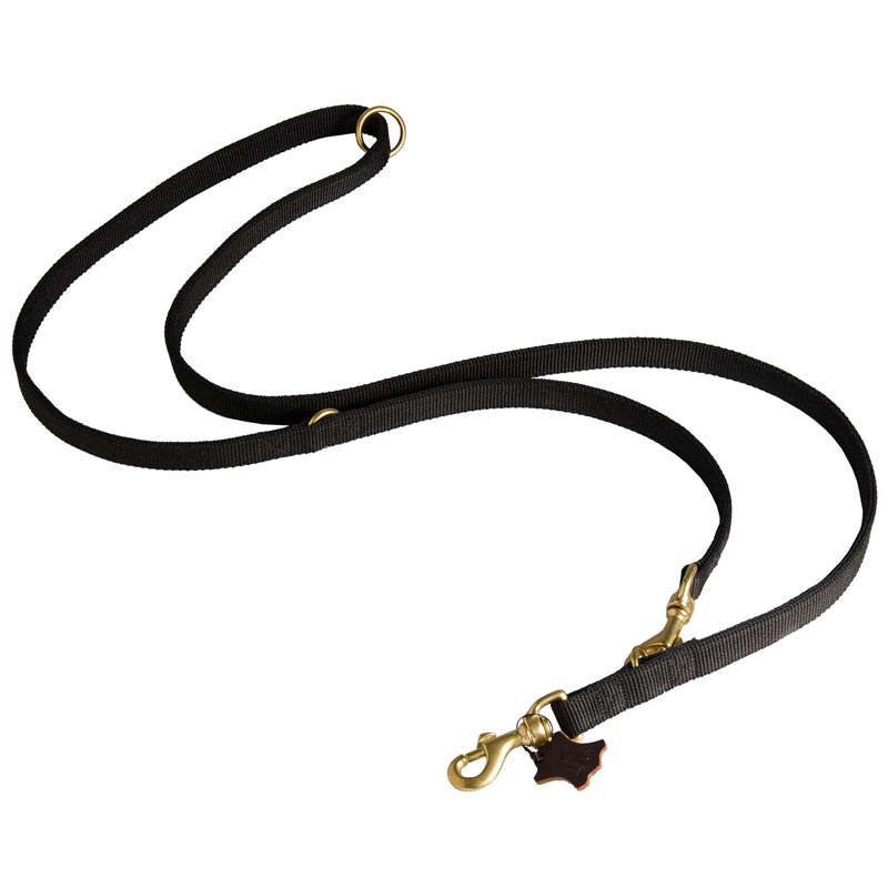 Nylon Black Russian Terrier Leash for Patrolling, Walking and Training - Click Image to Close