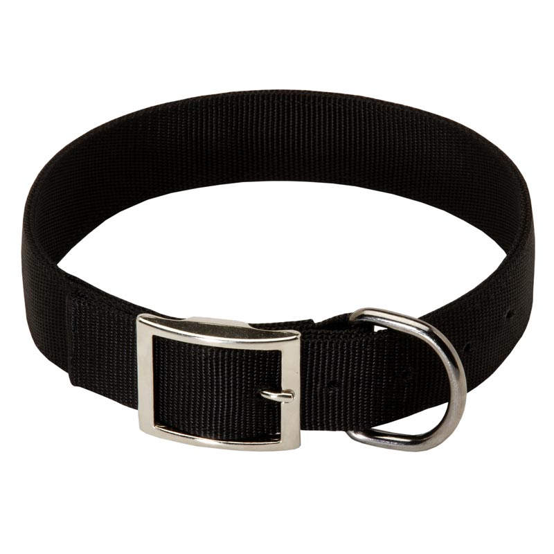 2 Ply Nylon Black Russian Terrier Collar