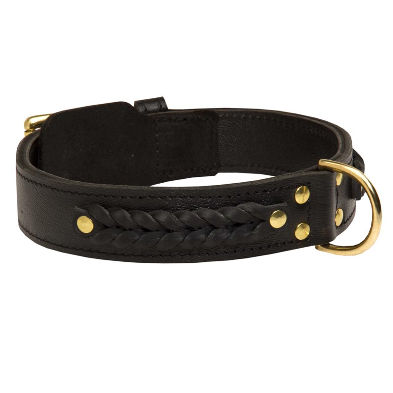 Incredible Design Black Russian Terrier Braided Leather Collar