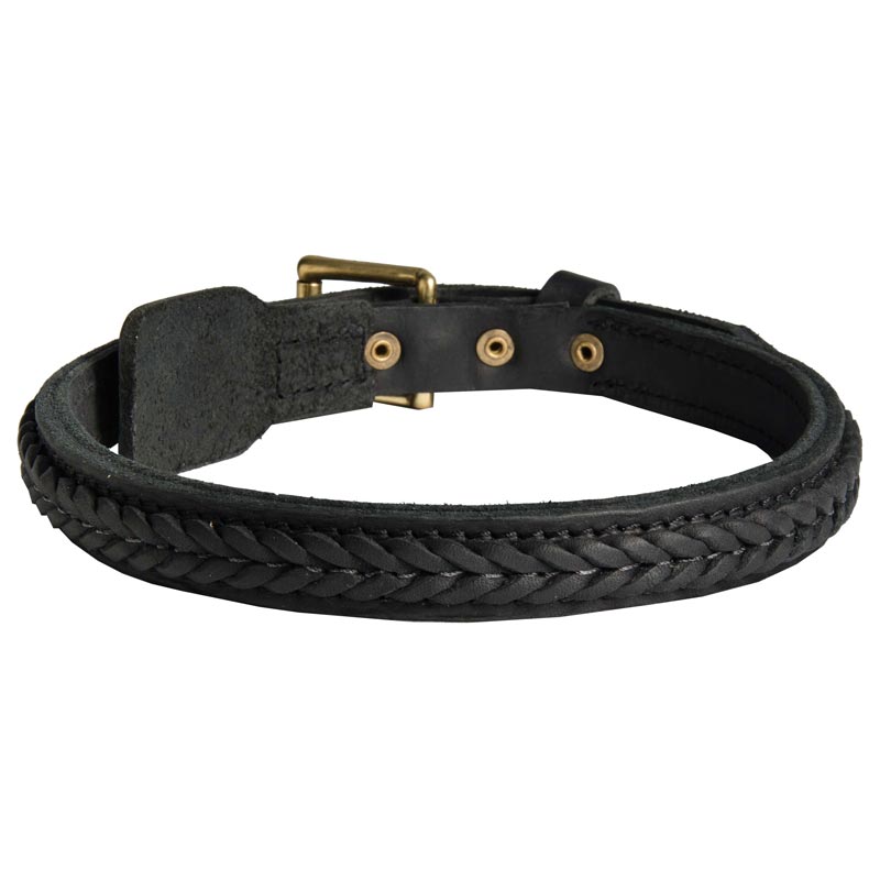Black Russian Terrier Braided Leather Collar 1 Inch