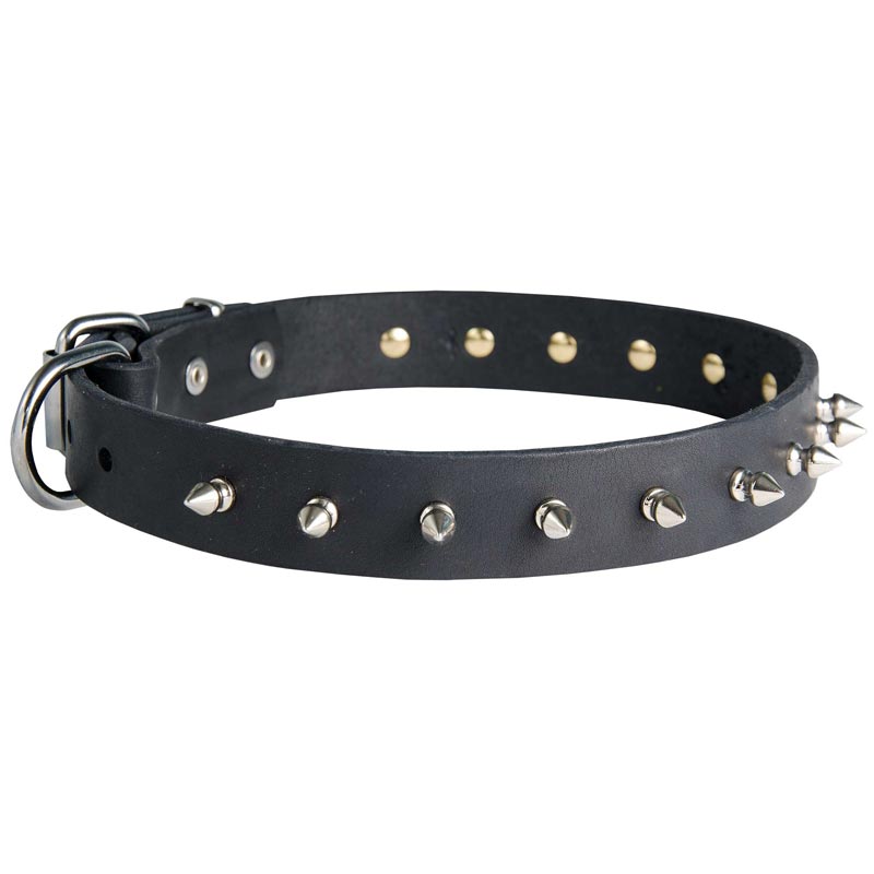 Black Russian Terrier Leather Collar Spiked 30 mm
