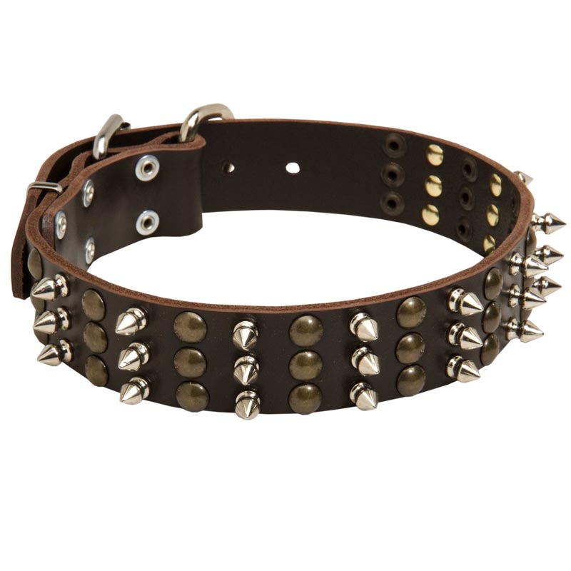 Black Russian Terrier Spikes and Studs Rows Leather Dog Collar