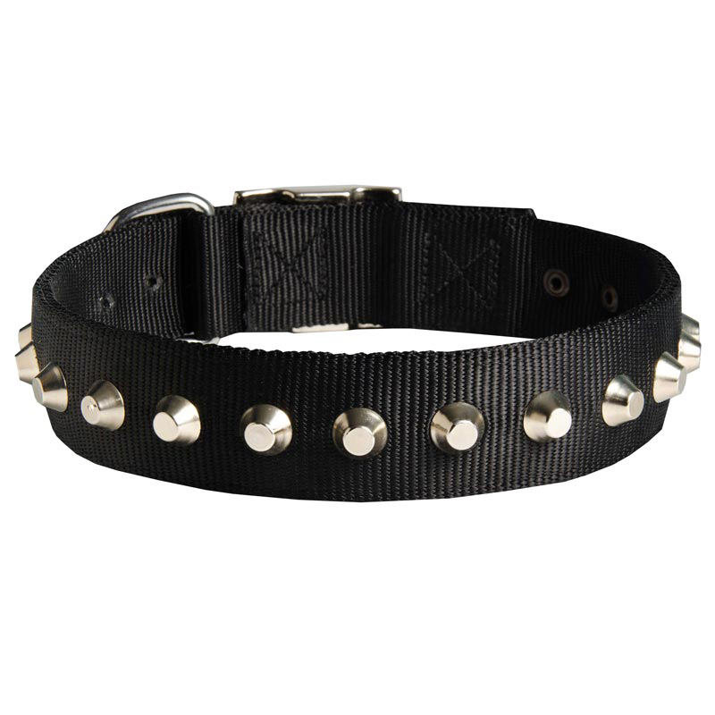 Exclusive Nylon Black Russian Terrier Collar with Awesome Nickel Cones