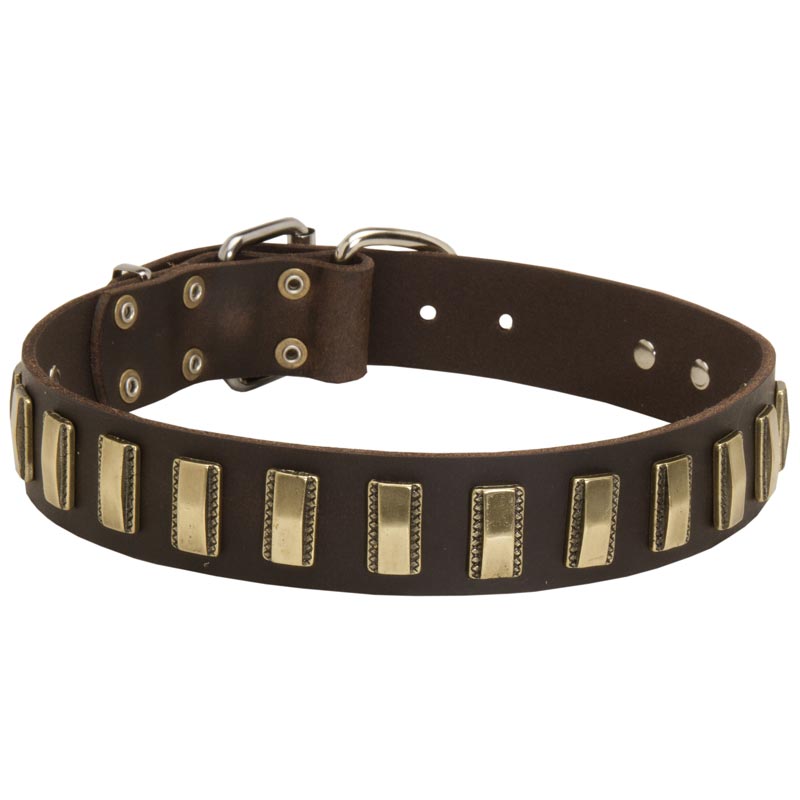 Leather Black Russian Terrier Collar with Awesome Brass Plates