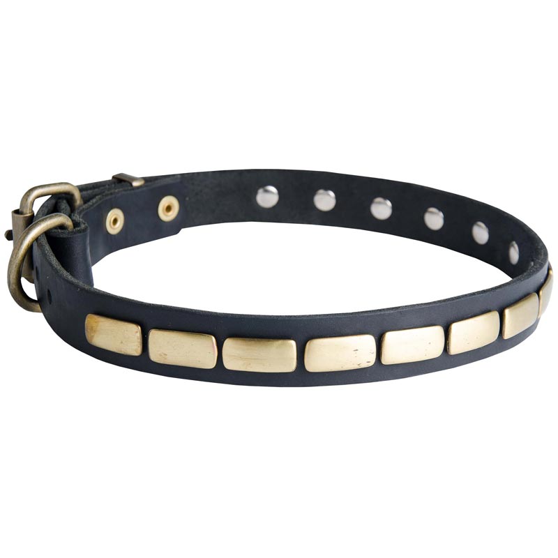 Black Russian Terrier Leather Collar Brass Plates 25 mm