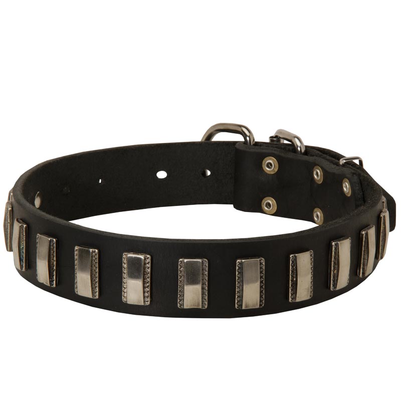 Black Russian Terrier Leather Collar with Shiny Plates