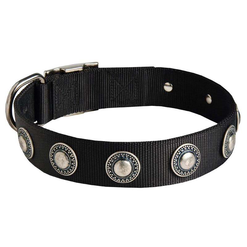 Black Russian Terrier Nylon Dog Collar with Circles Decoration