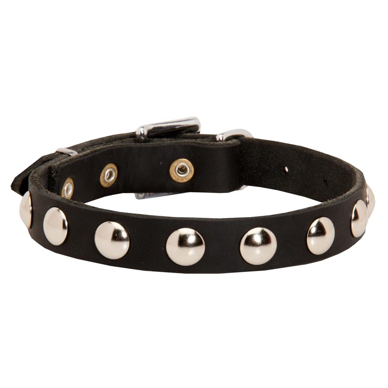 Beautiful Leather Black Russian Terrier Collar Decorated with Half-Ball Studs - Click Image to Close