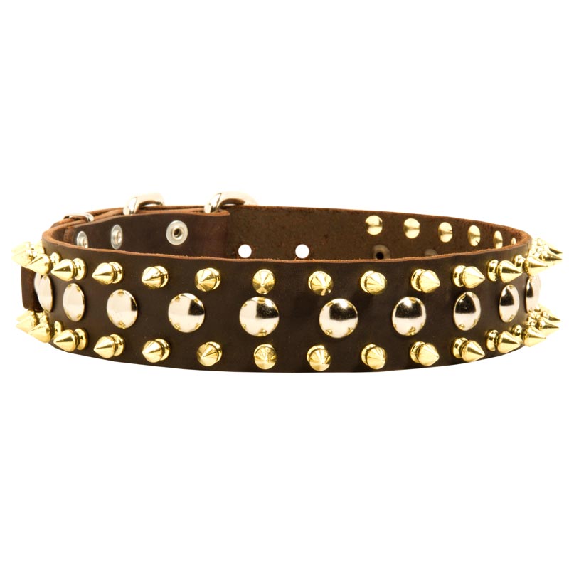 Spiked and Studded Black Russian Terrier Leather Collar
