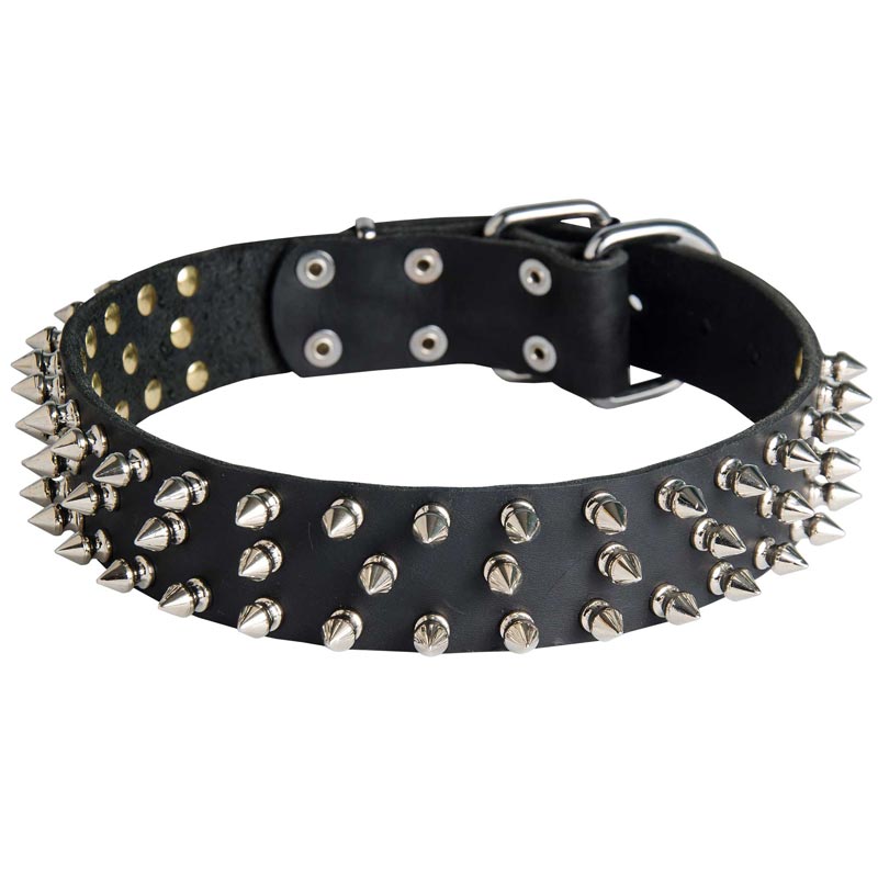 Leather Black Russian Terrier Collar with 3 Rows of Nickel Spikes