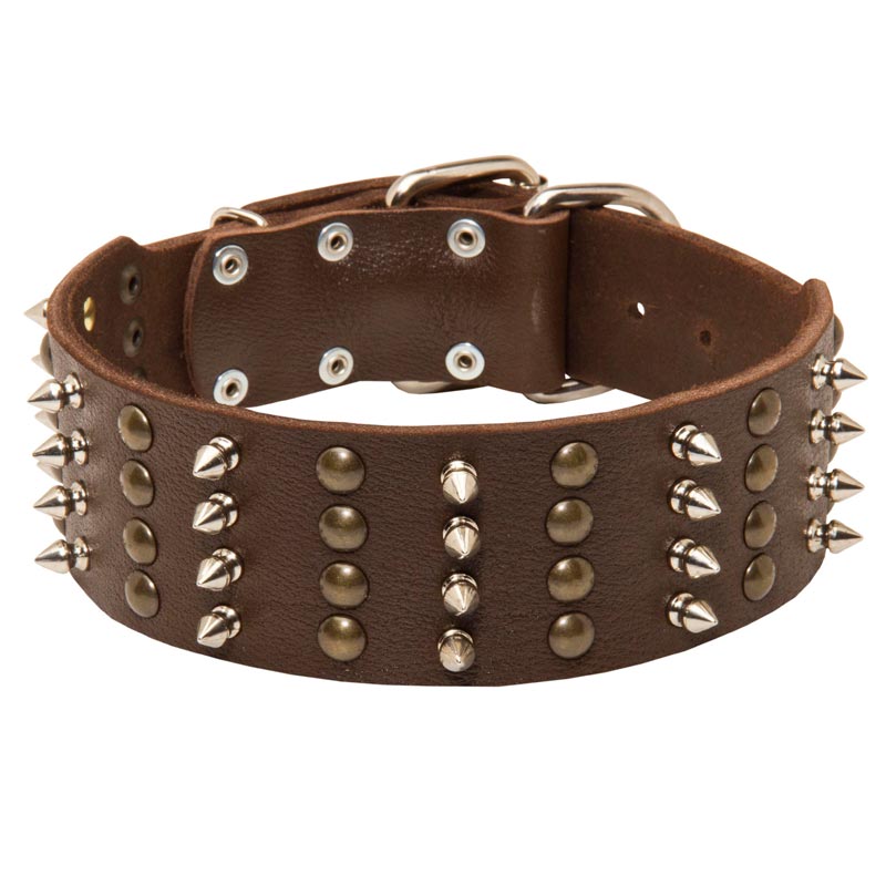 Extra Wide Leather Spiked and Studded Black Russian Terrier Collar