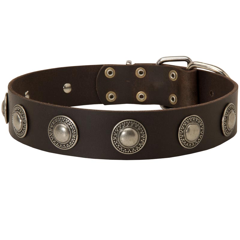Leather Black Russian Terrier Collar Decorated with Silver Conchos
