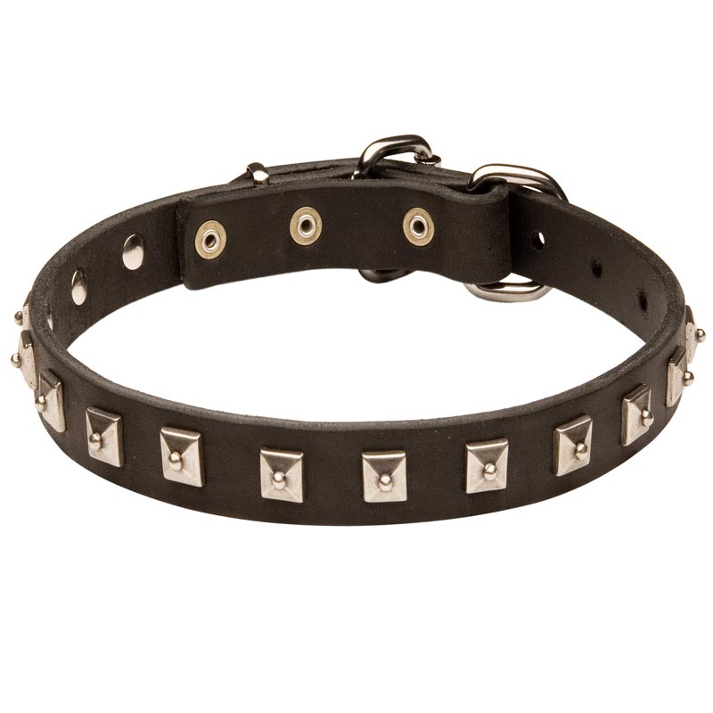 Black Russian Terrier Leather Collar Caterpillar Design